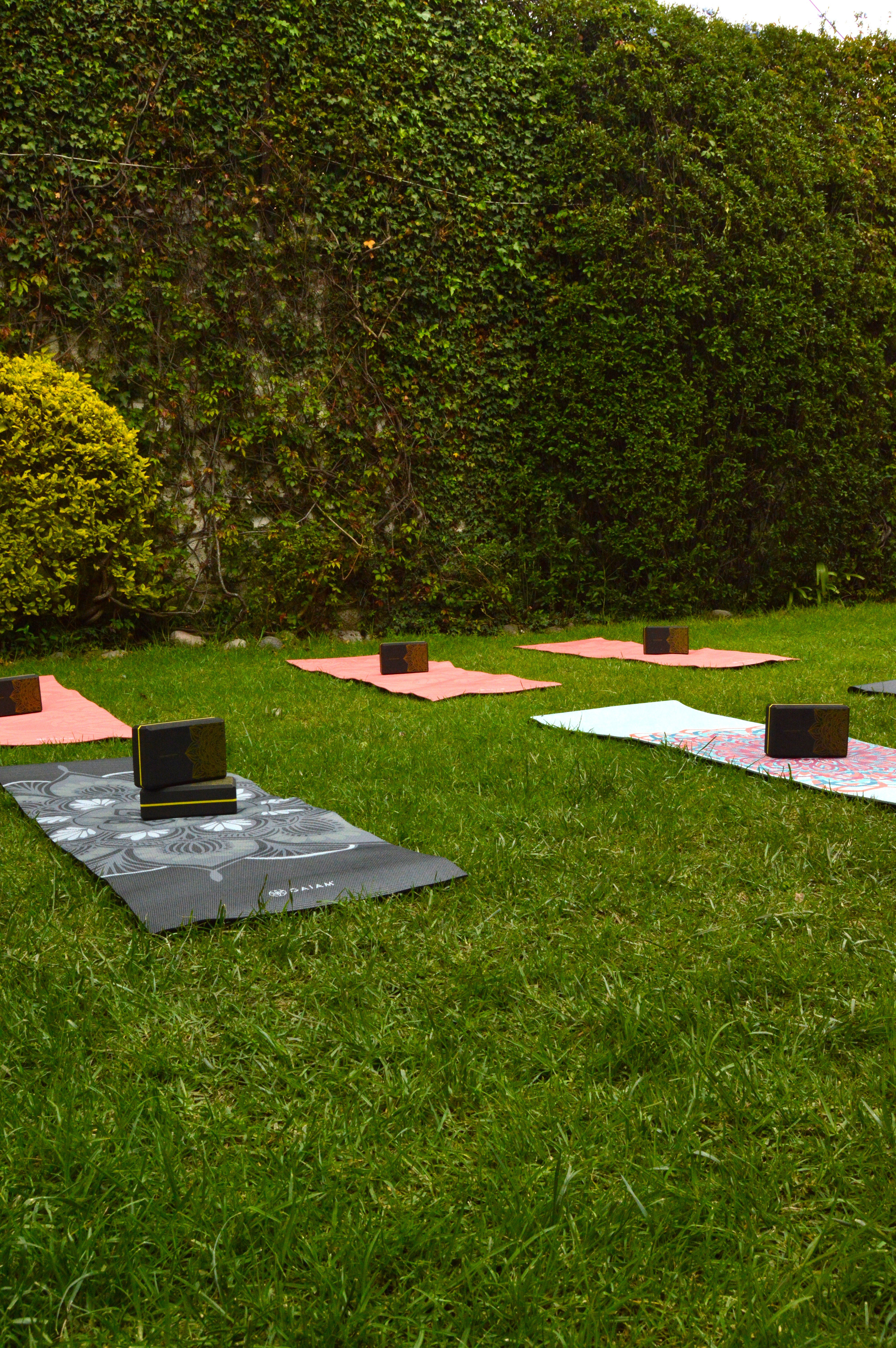Wellness center